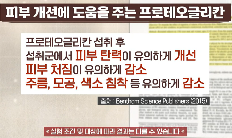 프로테오글리칸 효능