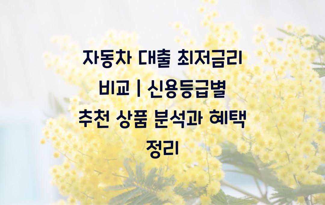 자동차 대출 최저금리 비교 (신용등급별 추천 상품)