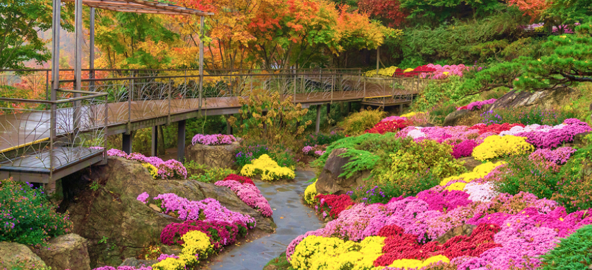 실시간 후기로 보는 성공 전략