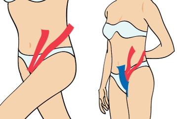 무릎 통증(내장 장애 원인)