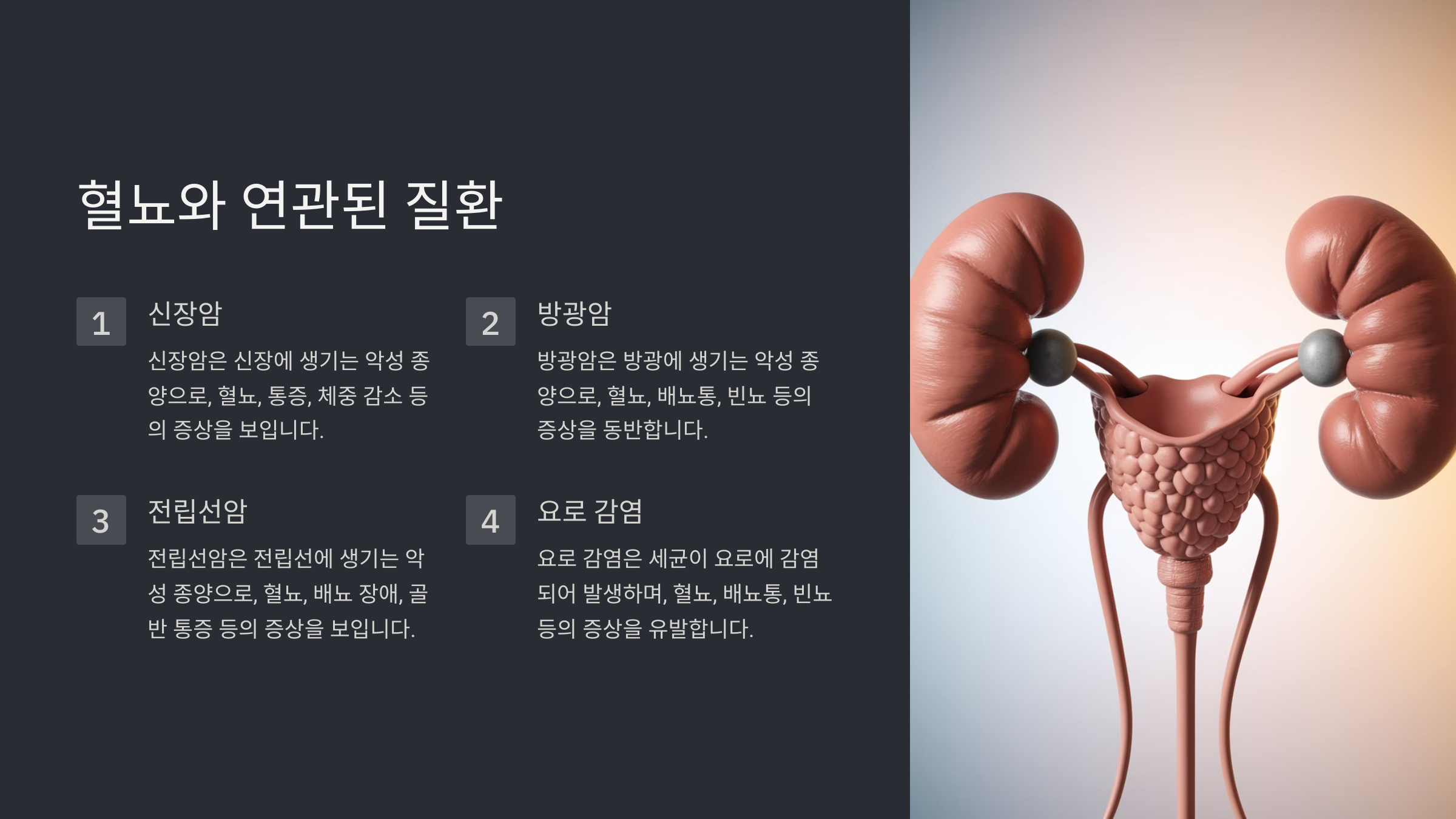 소변에 피가 섞여 나오는 혈뇨 증상