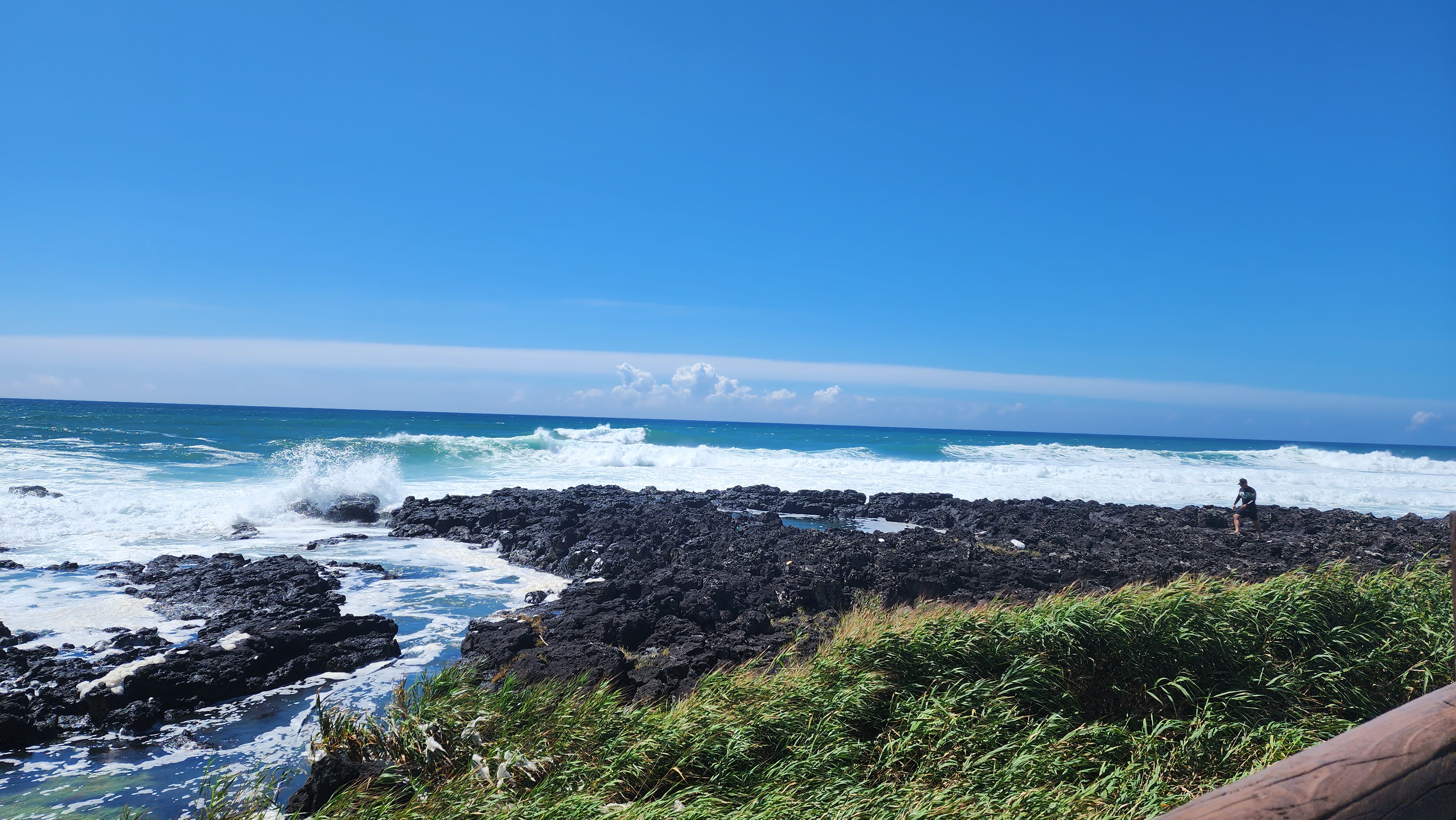 제주도 관련 사진