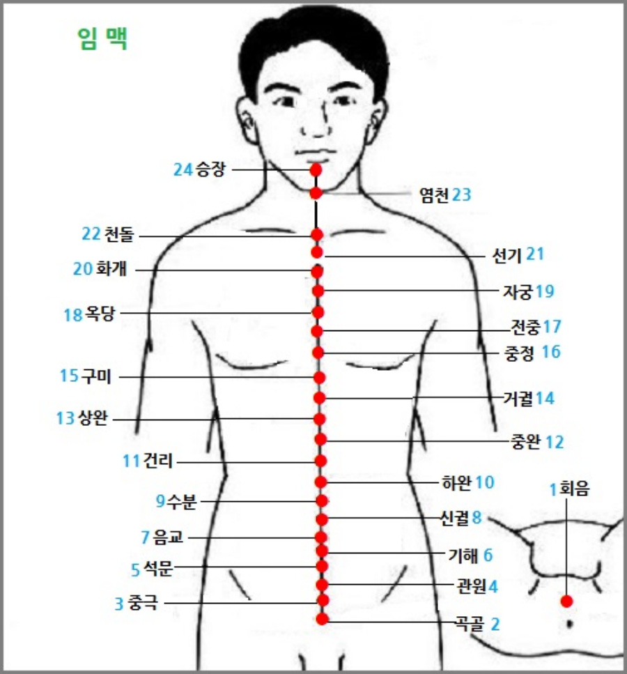 인체의 여러 경락 중에서 기경팔맥 중의 하나인 임맥의 흐름과 소속 경혈의 위치를 표시를 한 이미지 사진