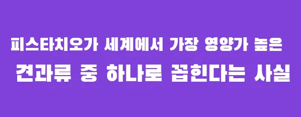 피스타치오가 세계에서 가장 영양가 높은 견과류 중 하나로 꼽힌다는 사실