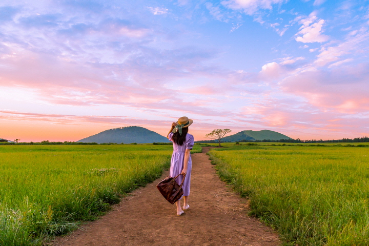 여행자보험 인터넷가입