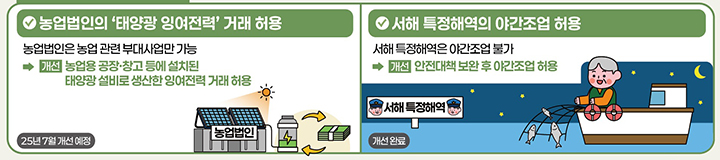 중소기업·소상공인 민생규제 개선방안 주요 사례 (인포그래픽=국무조정실)