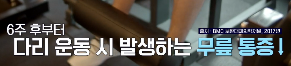 가자추출물 효능