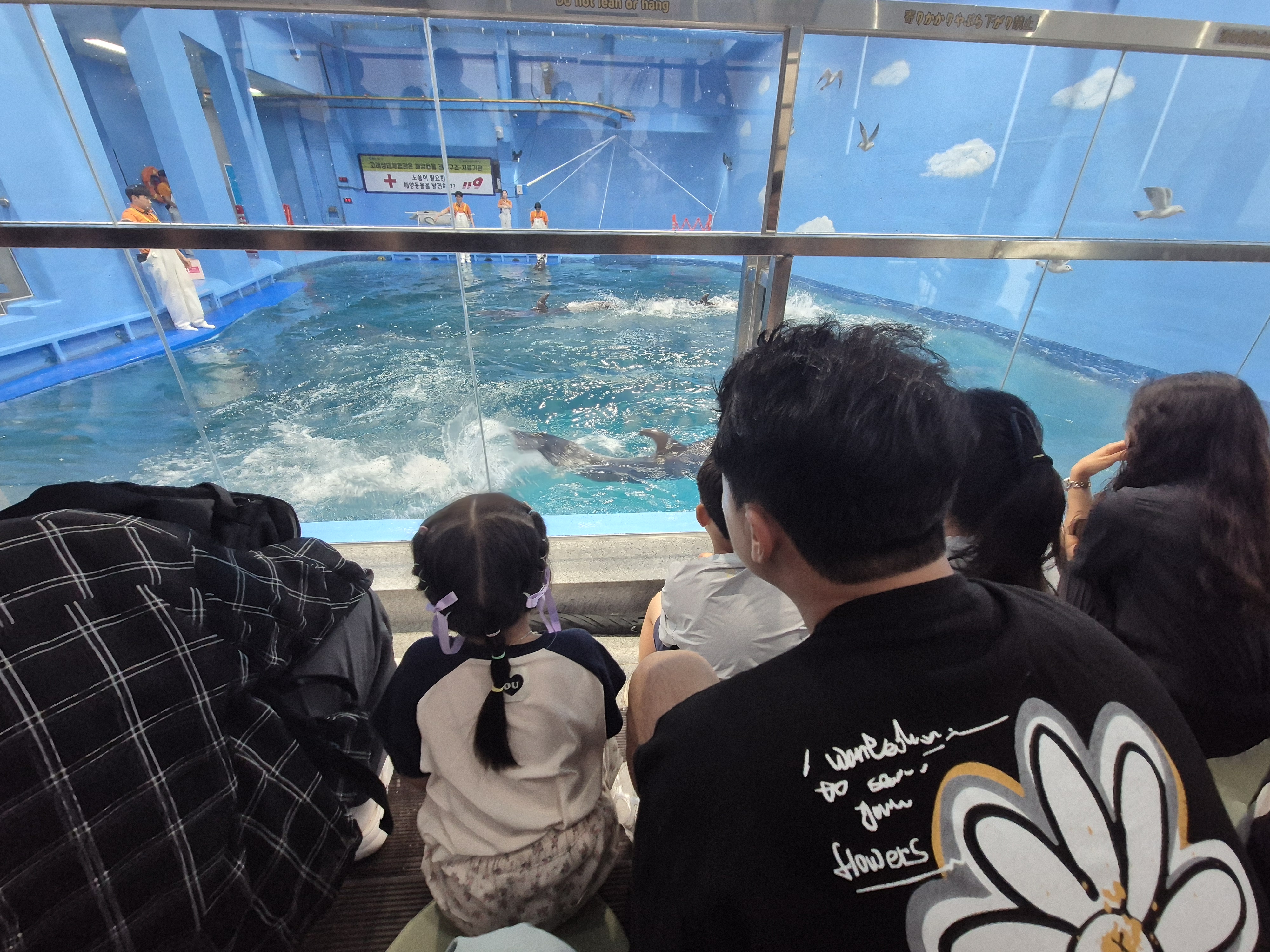 돌고래체험 앞자리관람