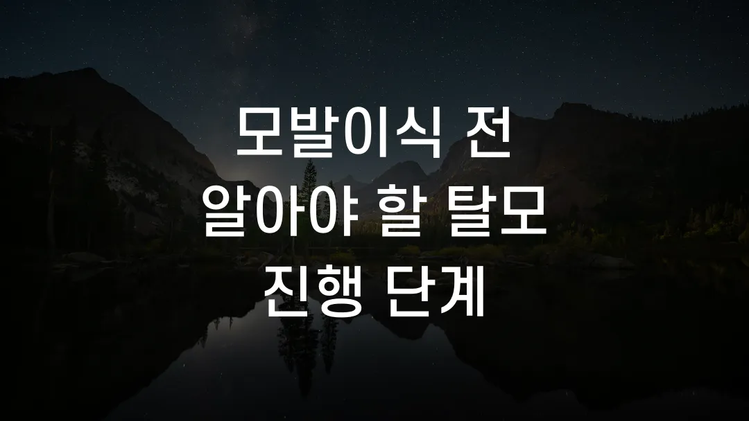 모발이식 전 알아야 할 탈모 진행 단계