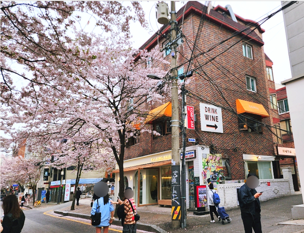합정-망원-숨은-감성-벚꽃-카페-7-인스타-위치-예약-주차