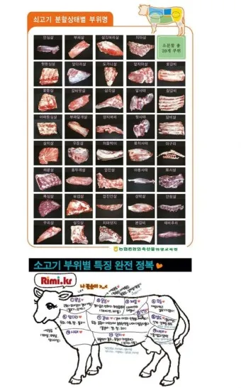 맛있는 국내산 소고기 부위 명칭 특징 조리방식_23