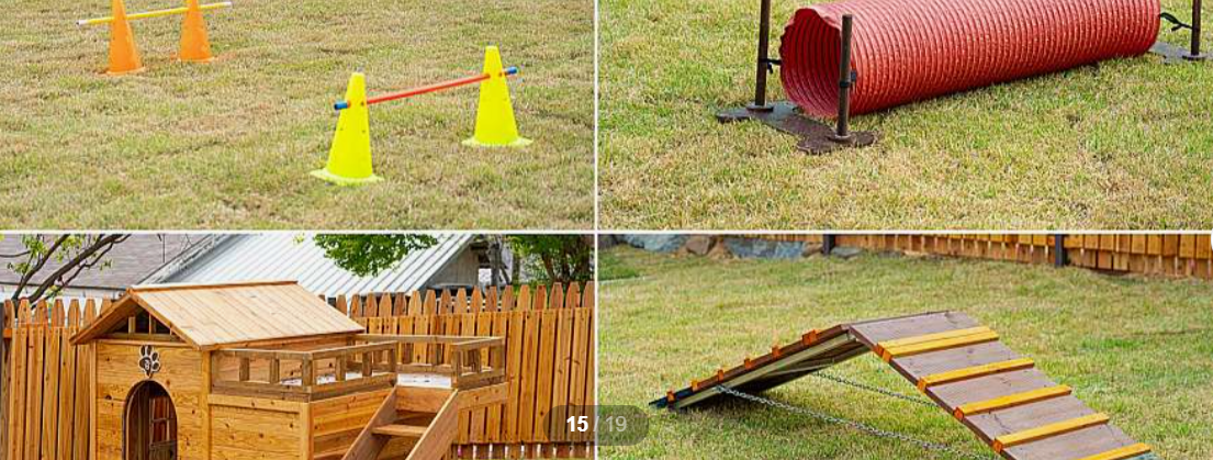 반려견 놀이기구와 비품