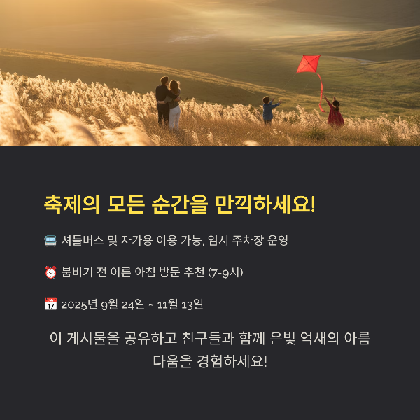 축제의 모든 순간을 만끽하세요!