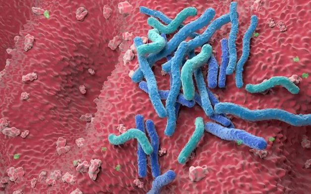 헬리코박터균 자주 묻는 질문 FAQ