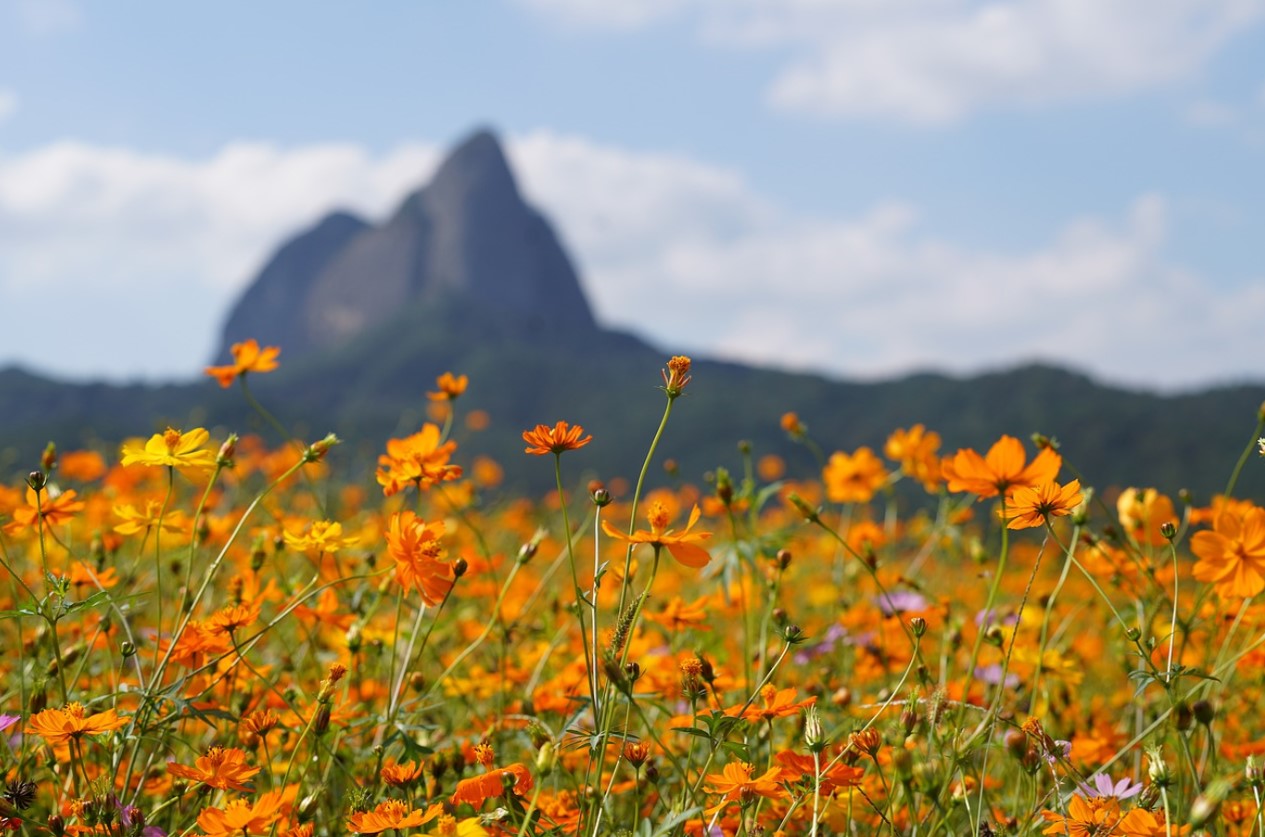 경주-호텔-베스트