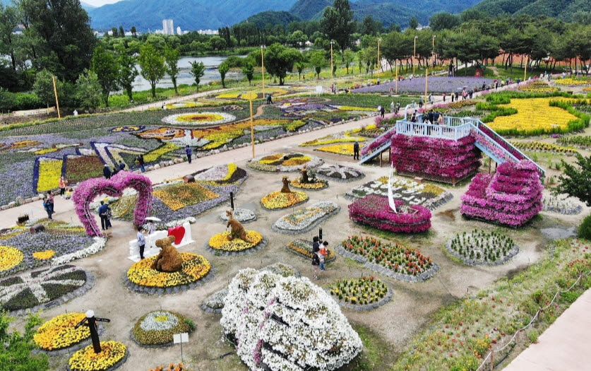 자라섬 꽃 페스타