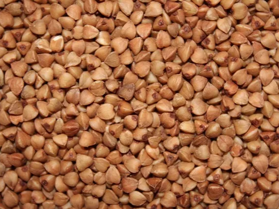 만성 염증에 도움을 주는 메밀