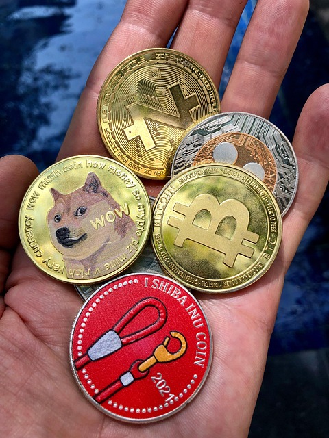 XRP 리플