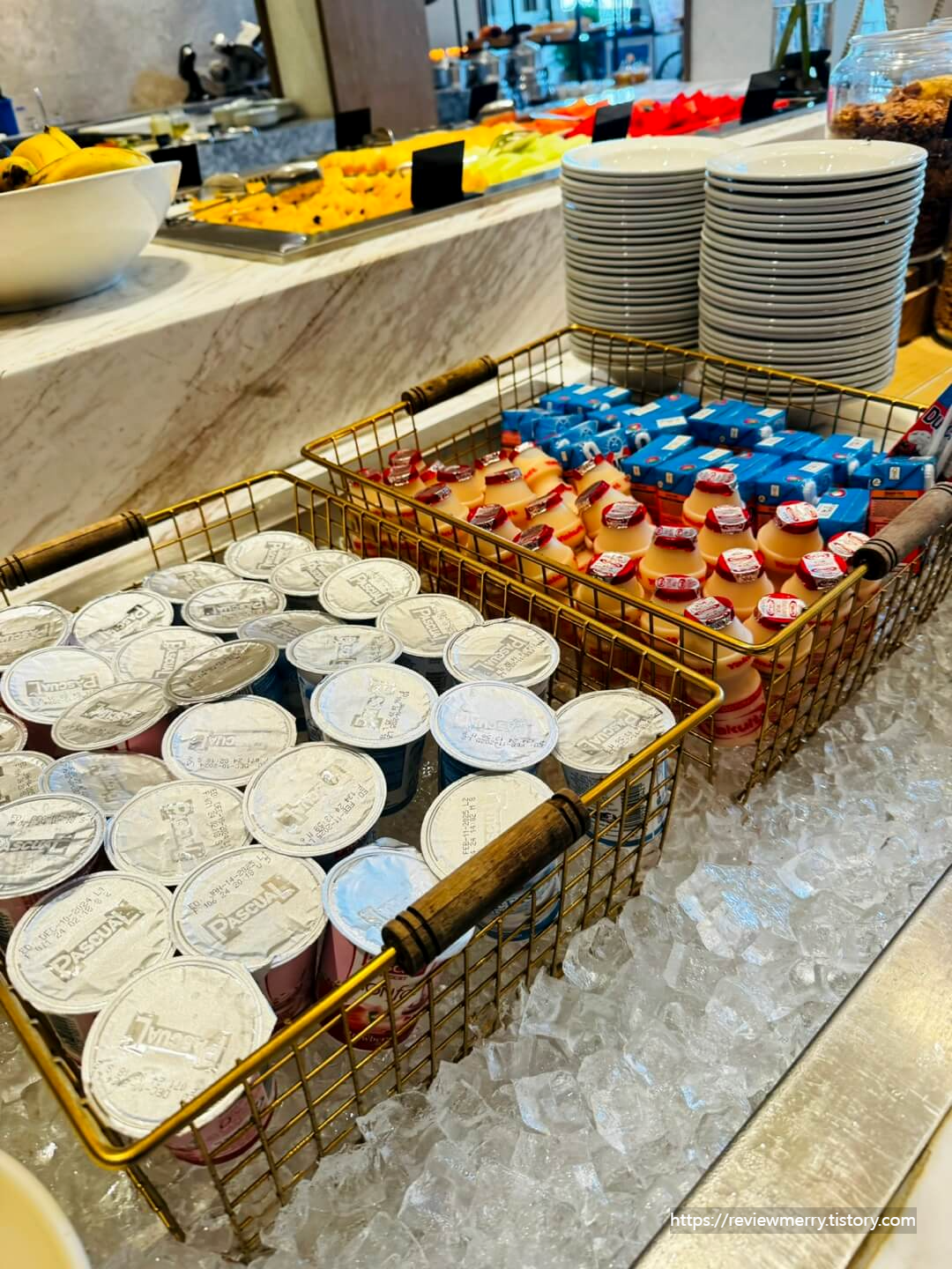 요플레 및 요구르트