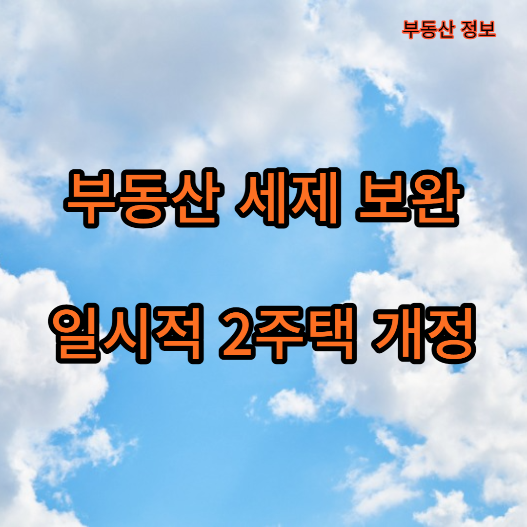 일시적 2주택 개정