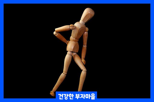 파열된 디스크, 돌출된 디스크, 좌골 신경통, 관절염 등에 의해 허리통증 발생 원인이 됩니다.