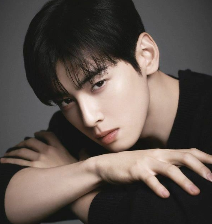 에겐남 테토남 뜻 특징 차이 구분법 테스트 연애 스타일 대표 연예인 누구