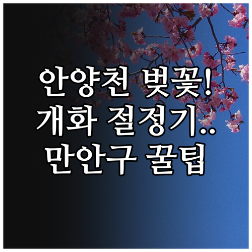 안양 만안구 벚꽃 개화일 절정 시기 ..