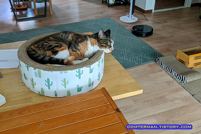 캣보울 스크래처