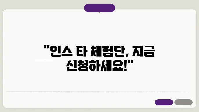 인스 탄험단 신청