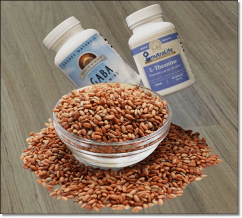 가바쌀과 보충제