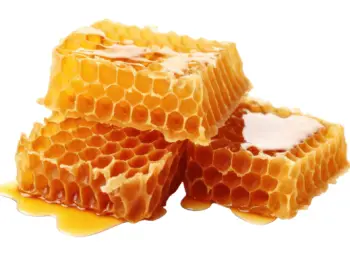 면역력 높이는 영양제 프로폴리스 효능 및 부작용