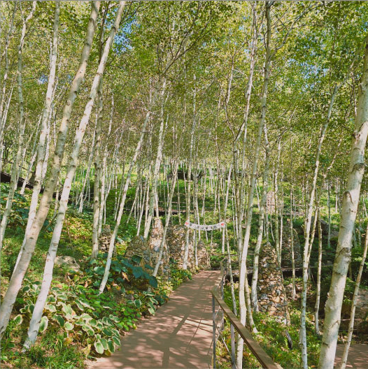 화담숲 모노레일 예약방법