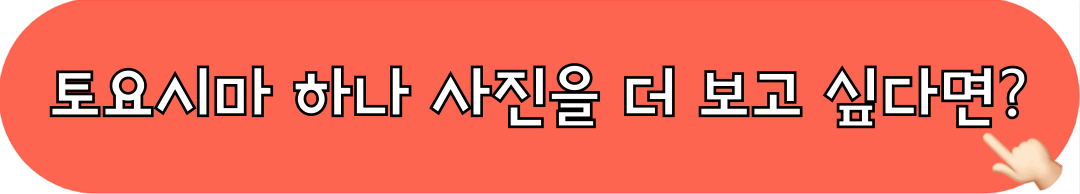 토요시마하나_인스타그램_바로가기