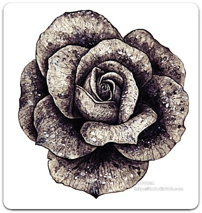 검은장미의 전설