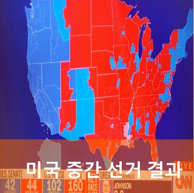 미국 중간 선거