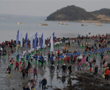 봄 축제 가볼만한 곳