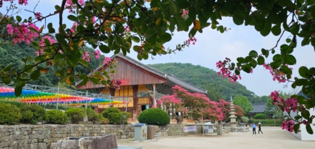 고창 선운사