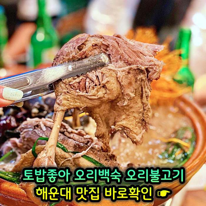 부산 해운대 맛집 무항생제 1등급 오리 백숙