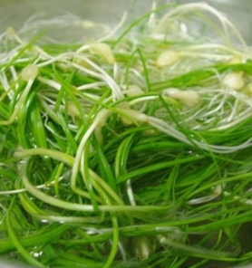 달래 효능 부작용 뿌리 고르는법