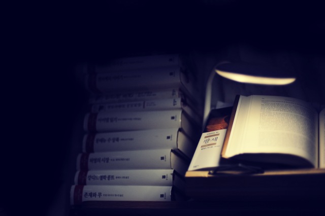 스테디셀러 전집