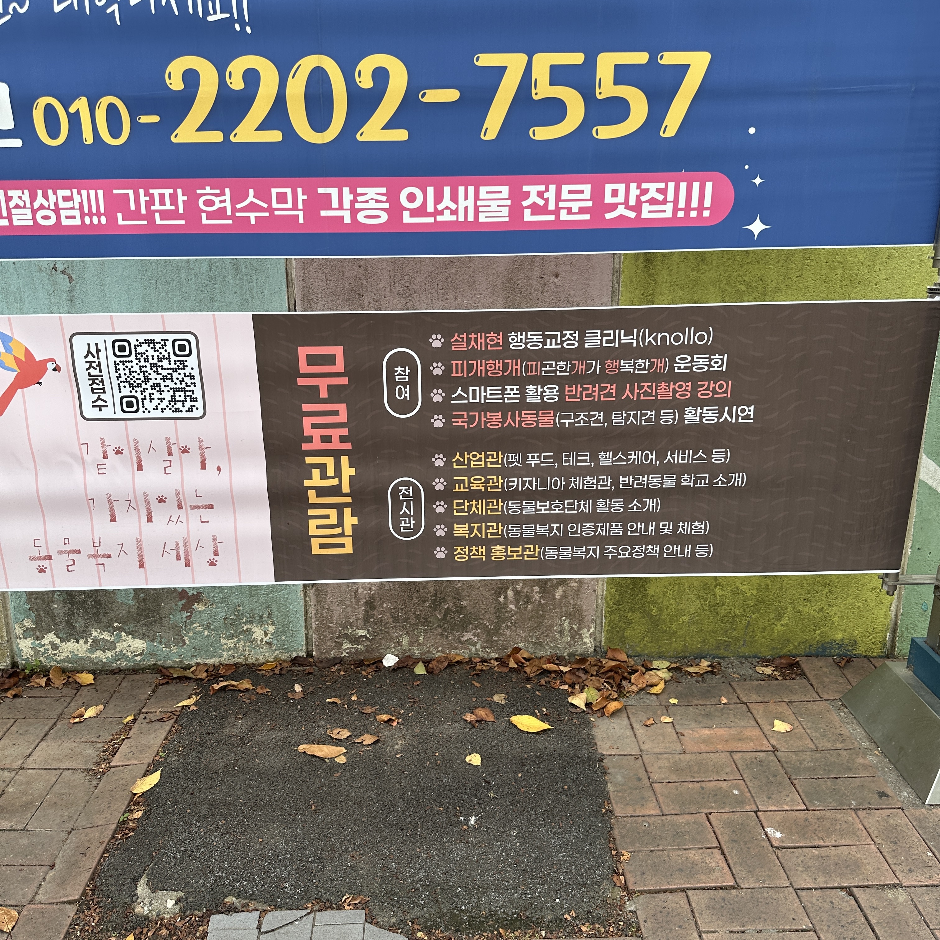 제1회동물보호의날축제