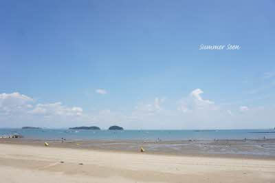 해수욕장 개장일