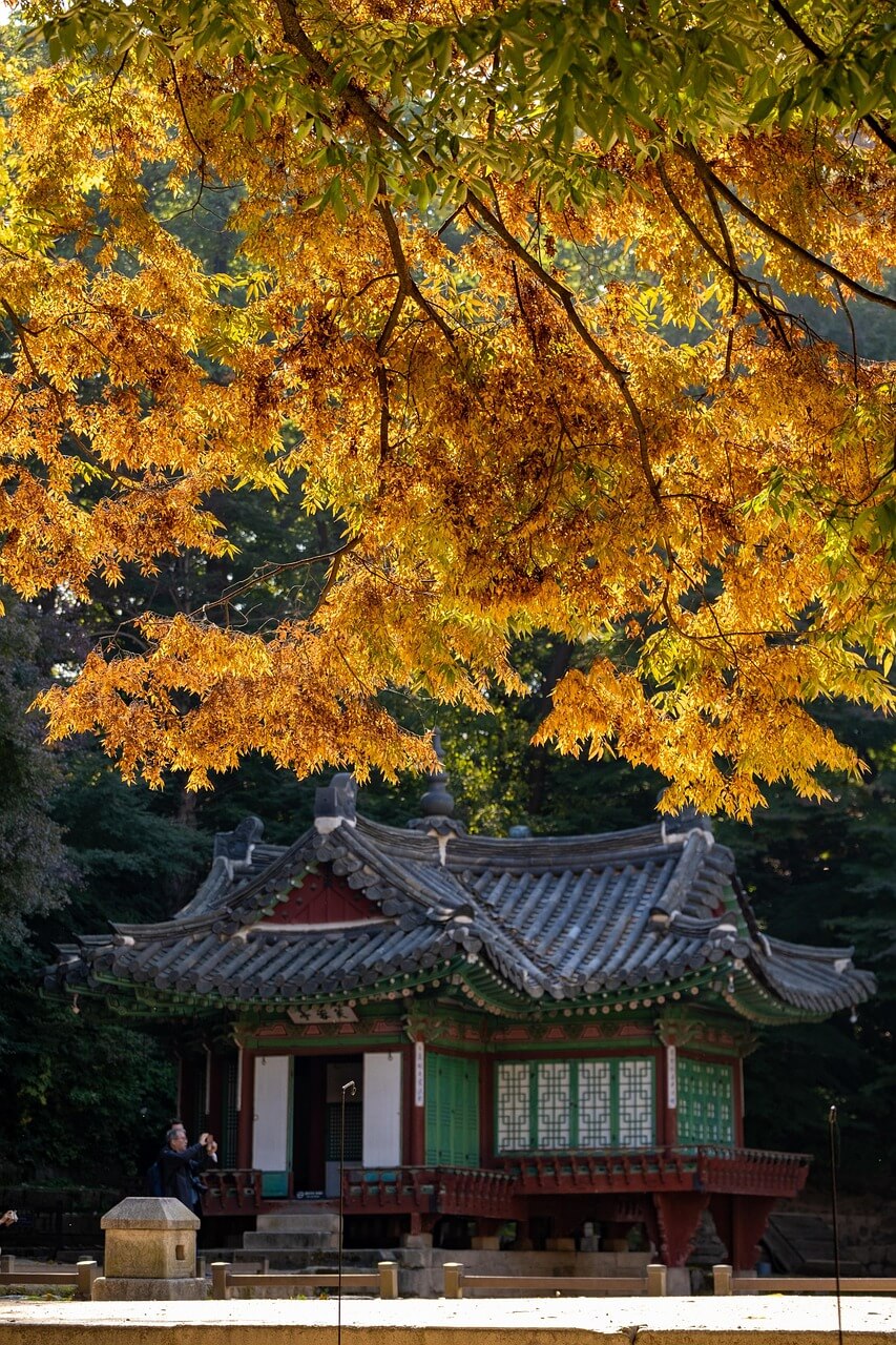 가을 단풍 명소 사찰