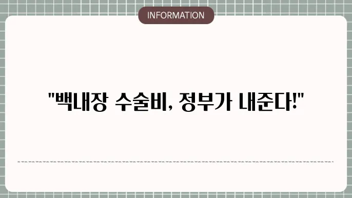 백내장 수술비용 지원: 