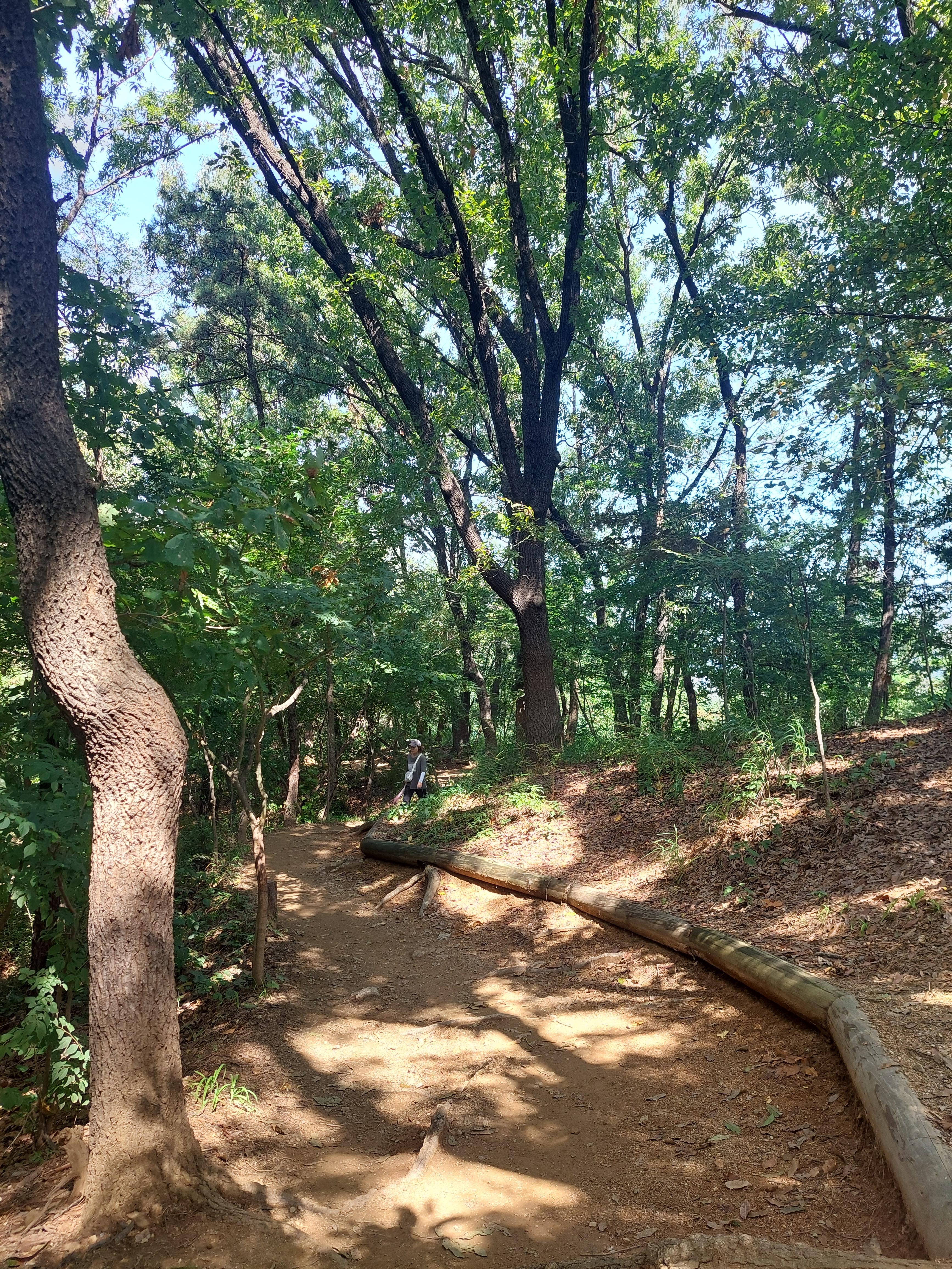 봉산앵봉산