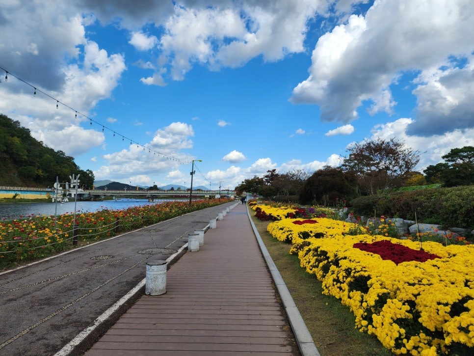 장성 황룡강 가을꽃축제 2025&amp;#44; 가수&amp;#44; 기본정보&amp;#44; 리뷰&amp;#44; 라인업&amp;#44; 개막식&amp;#44; 초대가수&amp;#44; 주차&amp;#44; 후기