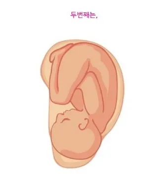 귀빠진날 뜻 생일 순우리말 유래_4