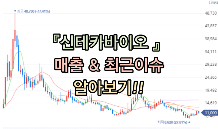 신테카바이오 주가! 매출 염기서열 변이 최근 이슈정리 대표이미지
