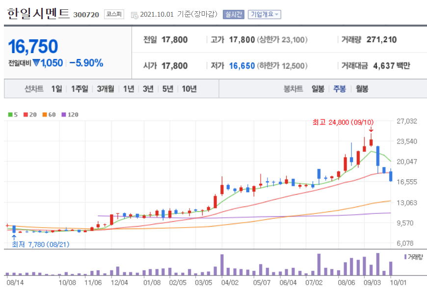 시멘트 관련주 대장주