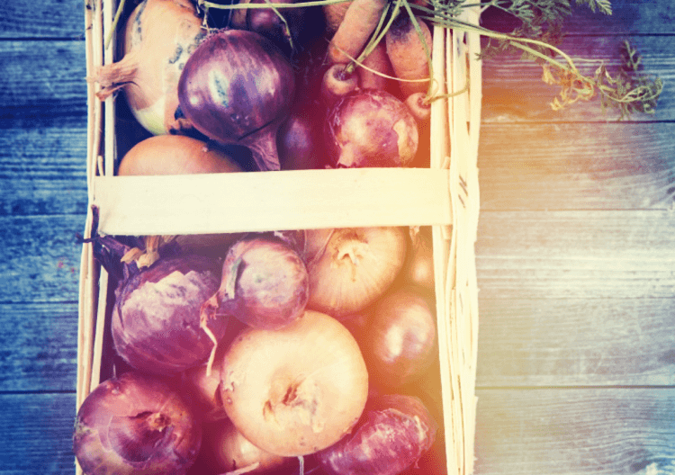 박스에담긴-양파